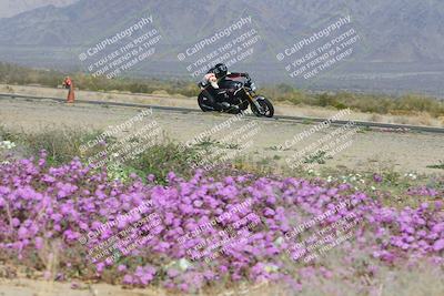 media/Feb-04-2023-SoCal Trackdays (Sat) [[8a776bf2c3]]/Turn 15 Inside Blooming (1050am)/